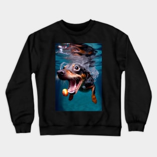 Dogs in Water #7 Crewneck Sweatshirt